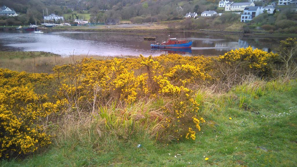 Clifden Hostel Exteriér fotografie